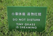 Znate li što je Chinglish?