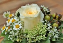 Sami napravite aranžman za groblje