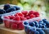 Borovnice, maline, kupine i ribizli – nutritivno bogatstvo