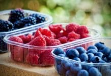 Borovnice, maline, kupine i ribizli – nutritivno bogatstvo