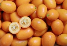 Kumkvat – maleni citrus pun vitamina kumkvat