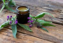 Gavez liječi kožu i kosti