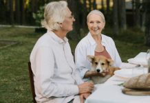 9 pasmina pasa idealnih za starije osobe