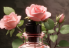 Ulje divlje ruže njeguje i pomlađuje kožu