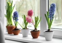 Vrijeme je za Zumbul