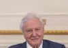 David Attenborough, najutjecajniji medijski ekolog