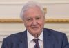 David Attenborough, najutjecajniji medijski ekolog