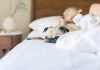 Trebaju li psi spavati u krevetu? Što kažu veterinar i trener pasa?